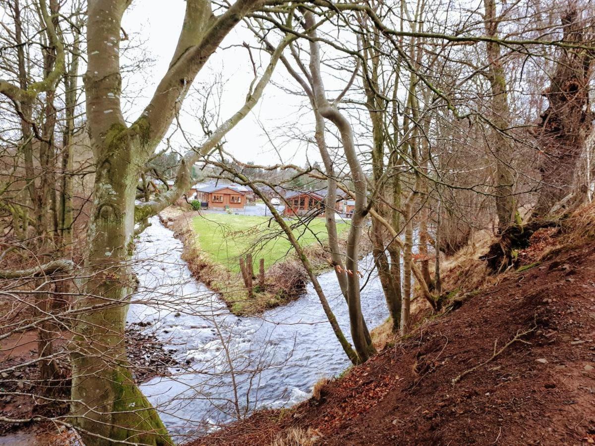 Grand eagles Riverside Extra large lodge Auchterarder Eksteriør billede